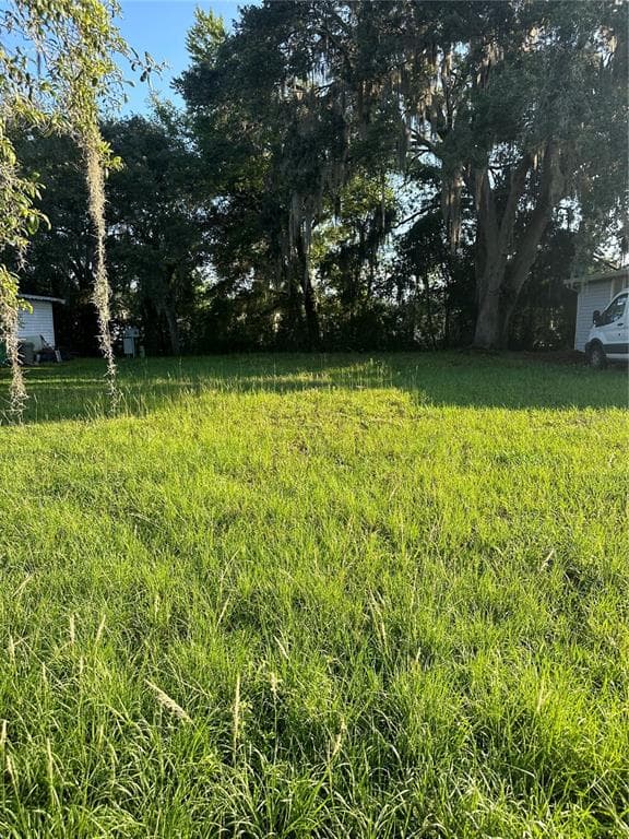 LAWANDA LOOP ZEPHYRHILLS, FL 33541