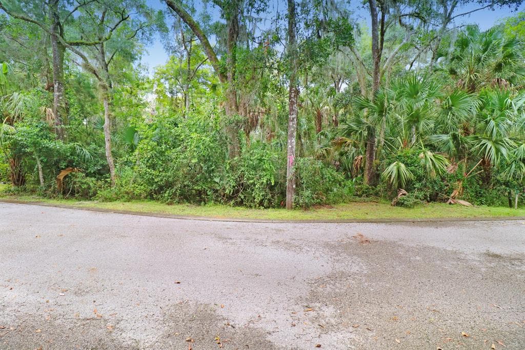 4876 RAMBLING RIVER ROAD BRANDON, FL 33511