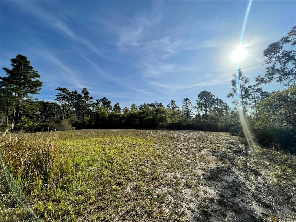 14315 BELLA LANE ORLANDO, FL 32832