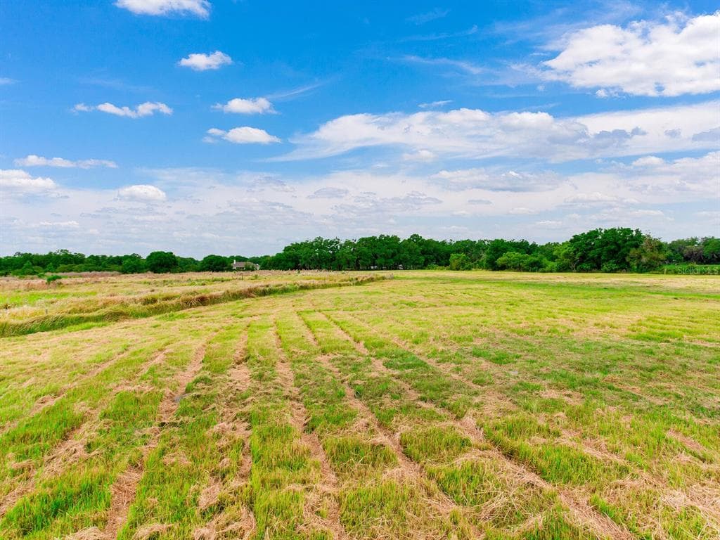 BRANDING IRON TRAIL PLANT CITY, FL 33565