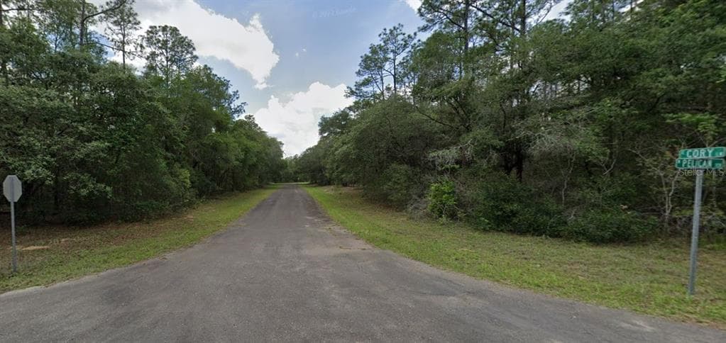 199 E CORY LANE DUNNELLON, FL 34434