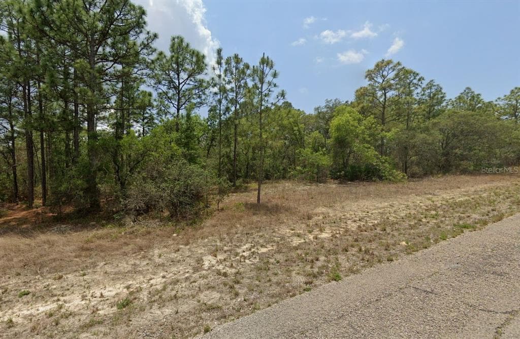 3504 W SEAHORSE LANE DUNNELLON, FL 34433