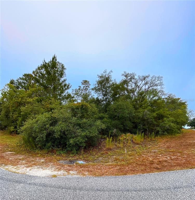8453 CHRISTOPHER LANE WEEKI WACHEE, FL 34613