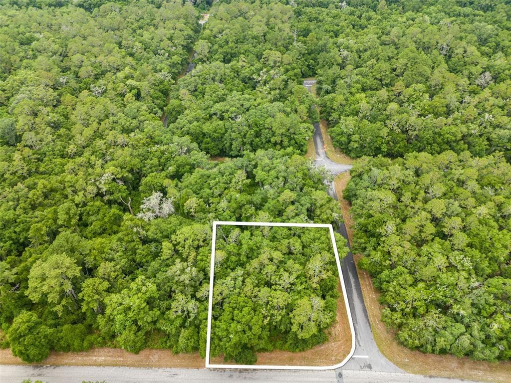 615 W VIRGINIS DRIVE CITRUS SPRINGS, FL 34434
