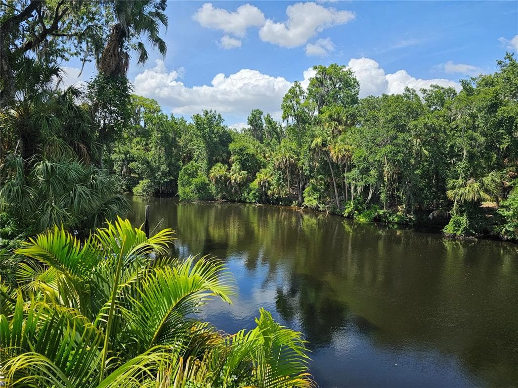 7248 ALAFIA RIDGE LOOP