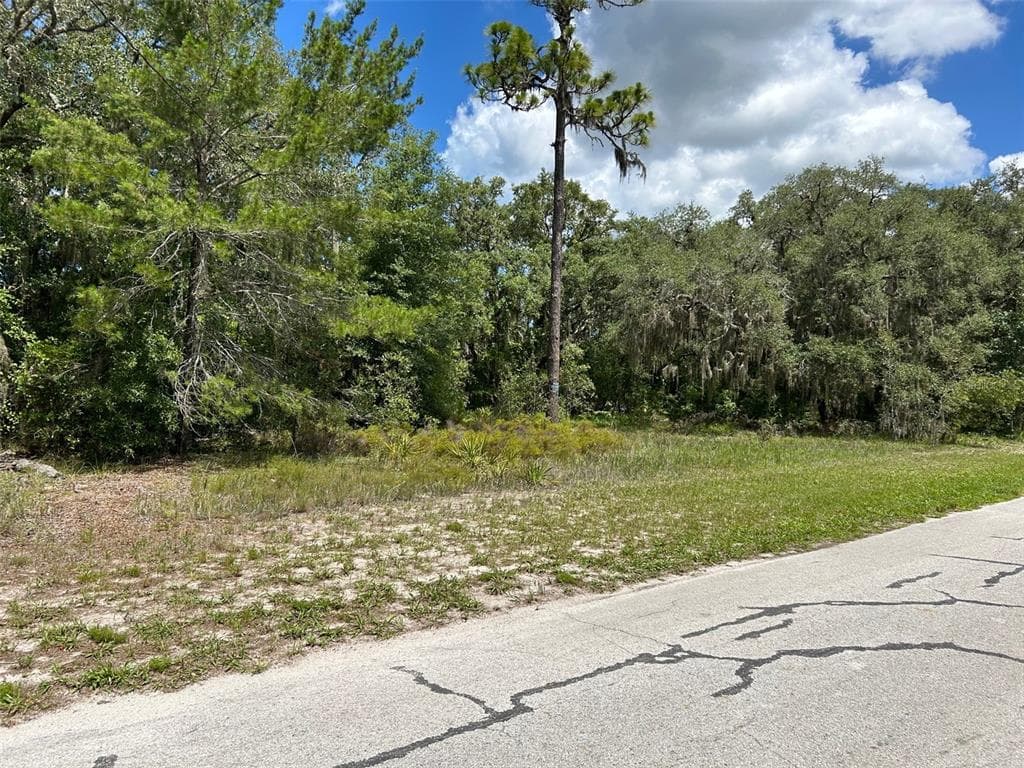 18223 LONG LAKE DRIVE HUDSON, FL 34667
