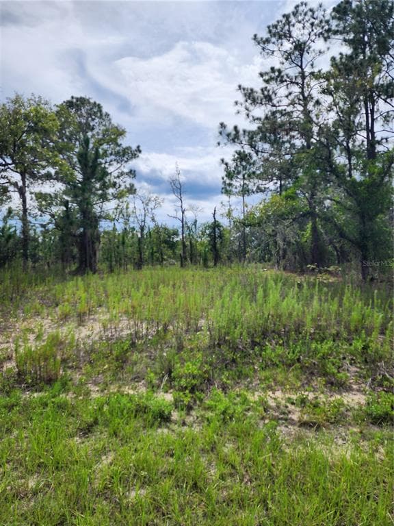 SW WINDING HILLS ROAD DUNNELLON, FL 34431