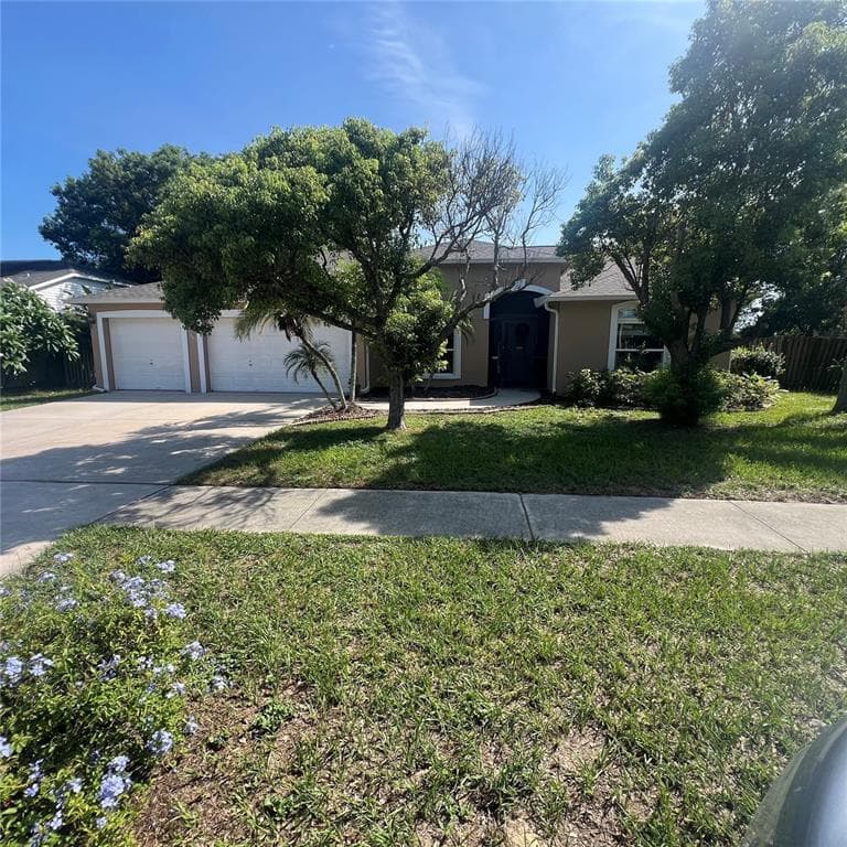 11225 ANDY DRIVE RIVERVIEW, FL 33569