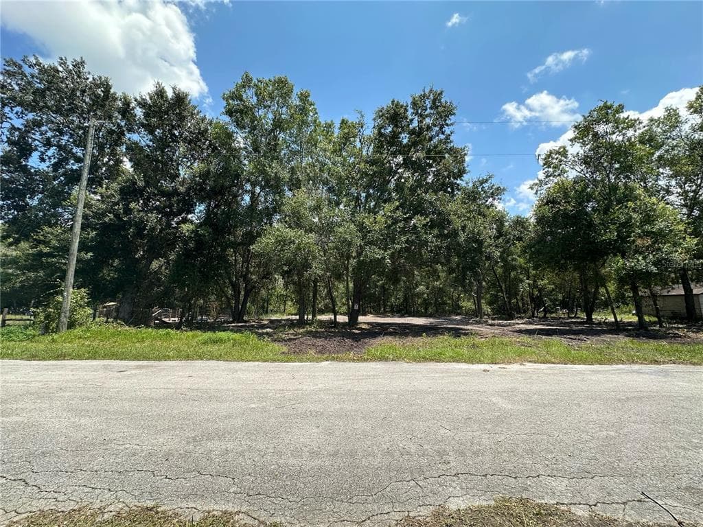 0 SAINT JOHNS ROAD LAND O LAKES, FL 34638