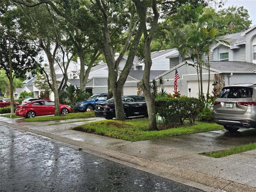 154 ST IVES DRIVE PALM HARBOR, FL 34684