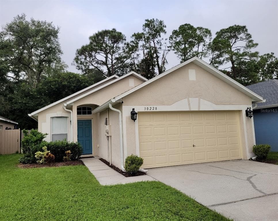 30228 BIRDHOUSE DRIVE WESLEY CHAPEL, FL 33545
