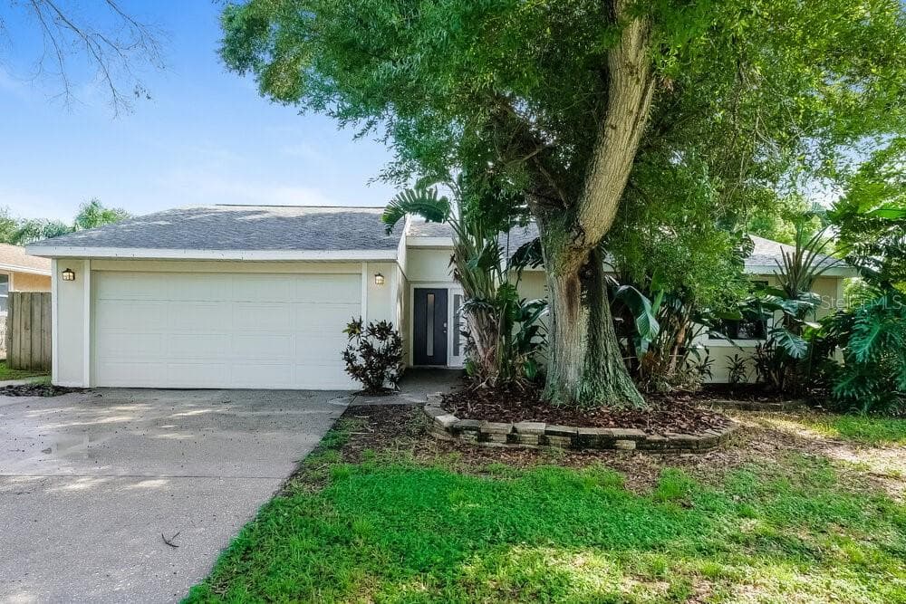 1191 MINEOLA CIRCLE PALM HARBOR, FL 34683