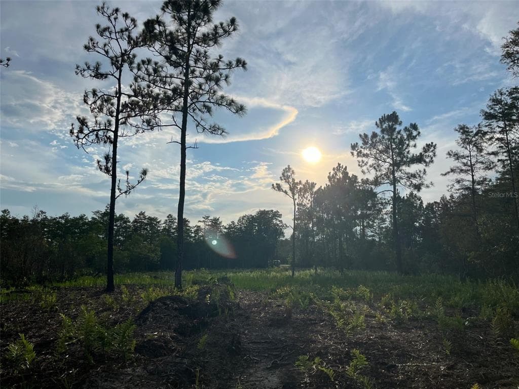 HOLOPAW ROAD ST CLOUD, FL 34773