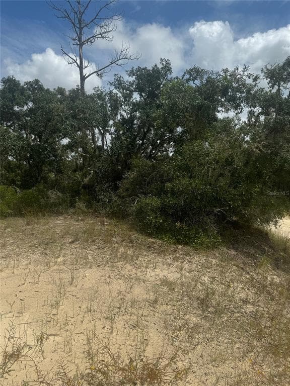 0 HARDSTONE DRIVE WEBSTER, FL 33597