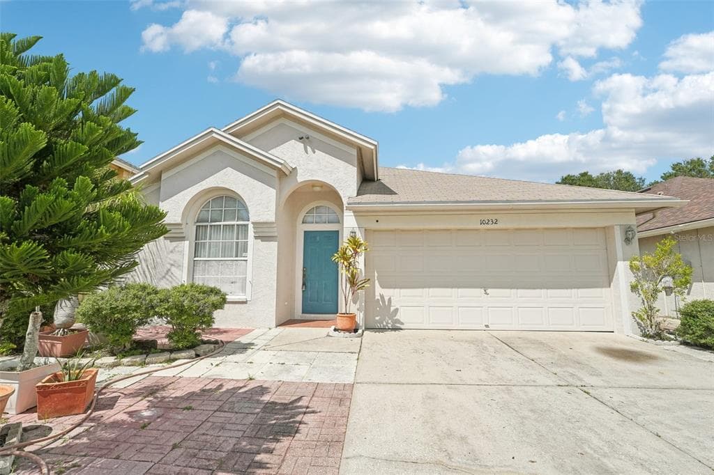 10232 OASIS PALM DRIVE TAMPA, FL 33615