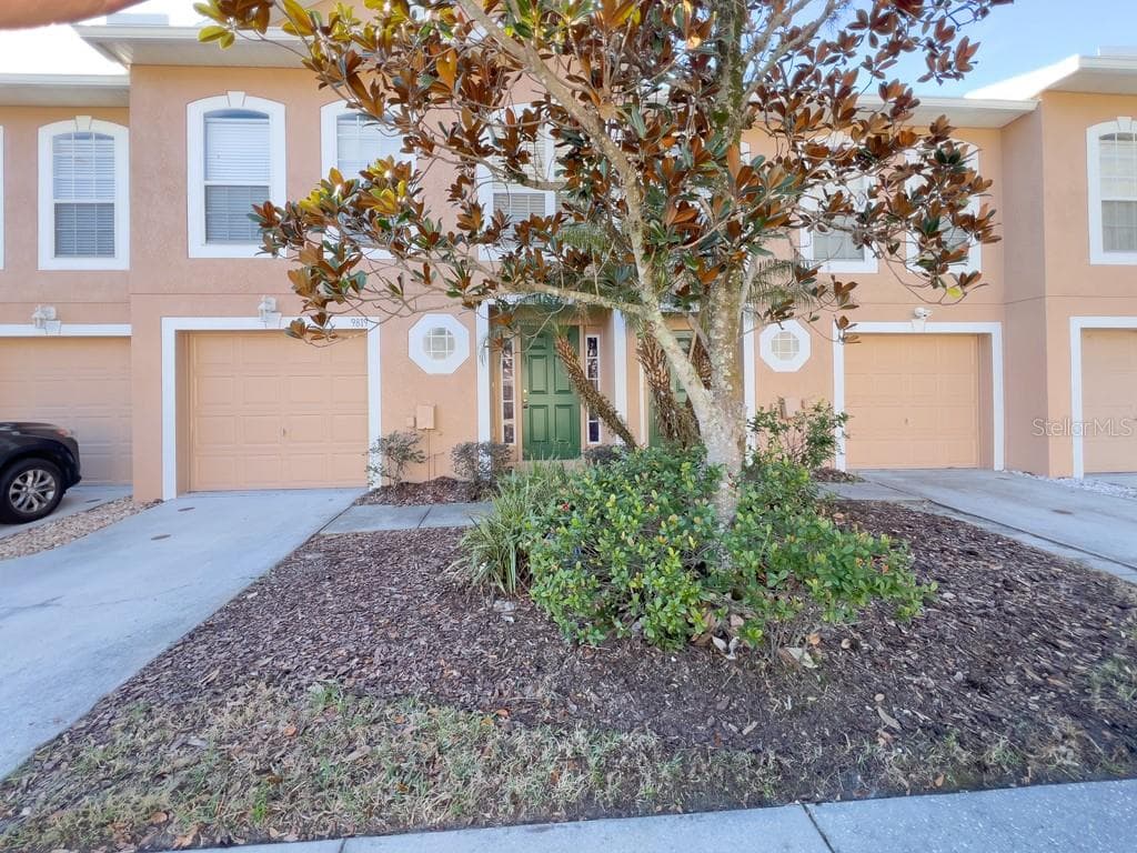 9819 ASHBURN LAKE DRIVE TAMPA, FL 33610