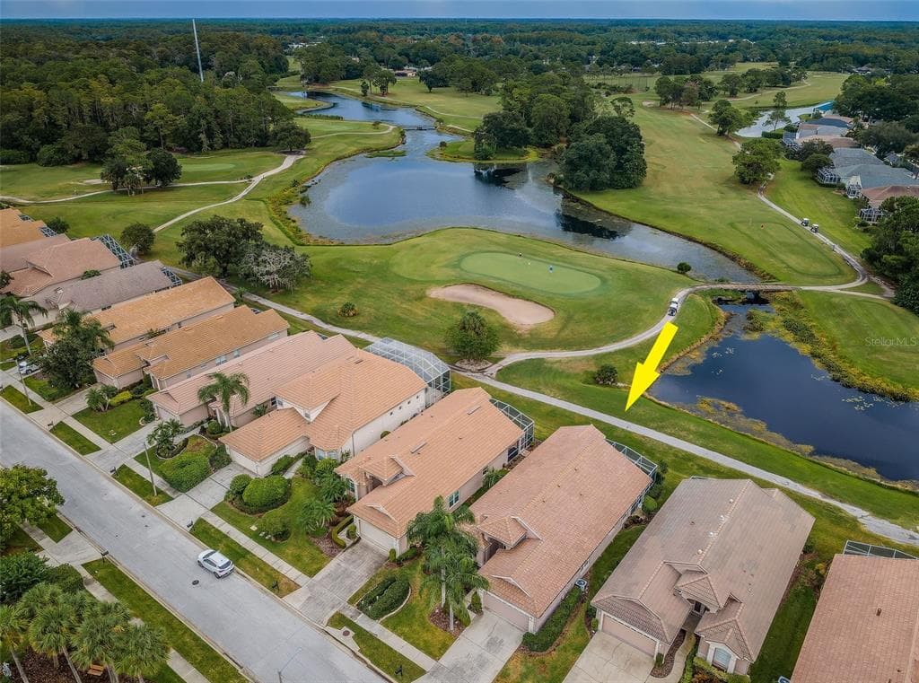 4350 LIVE OAK BOULEVARD PALM HARBOR, FL 34685