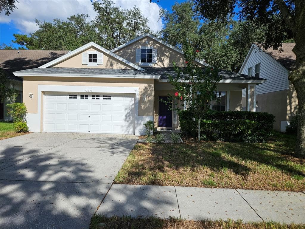 13033 TERRACE SPRINGS DRIVE TEMPLE TERRACE, FL 33637