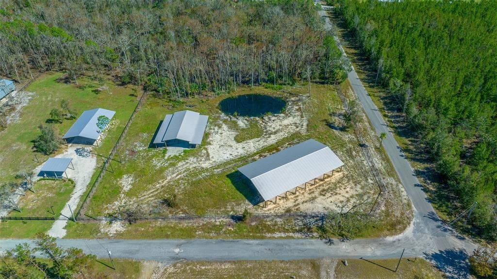 1208 PINE HILL DRIVE STEINHATCHEE, FL 32359