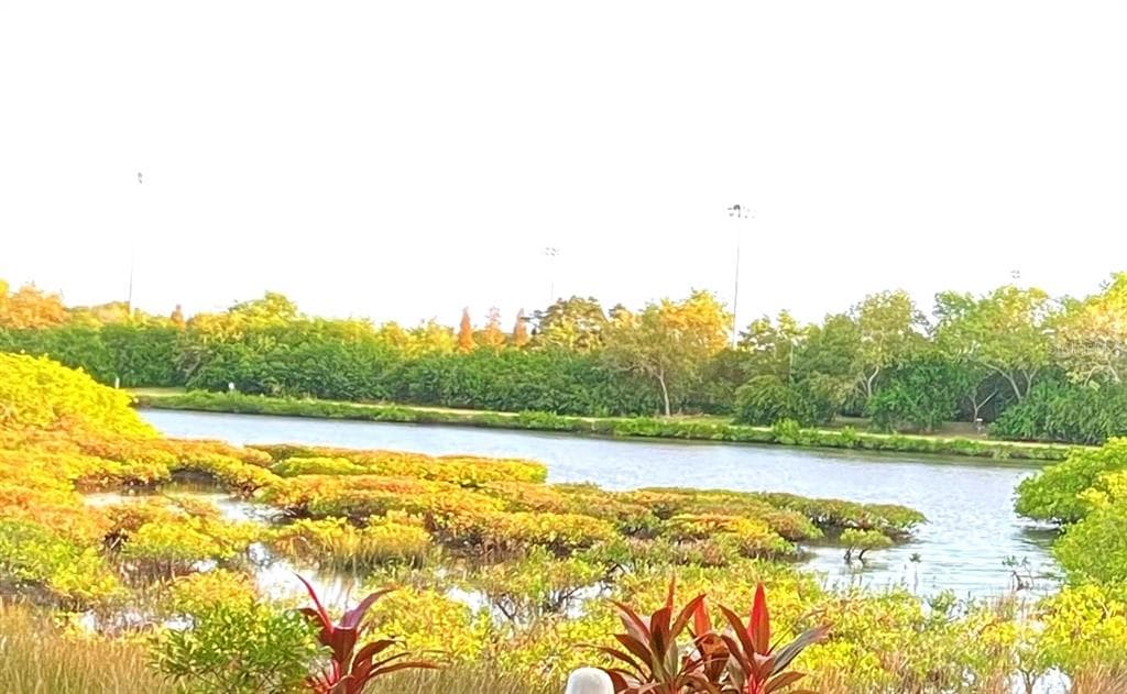 169 CLUBVIEW DRIVE UNIT 119 SAFETY HARBOR, FL 34695