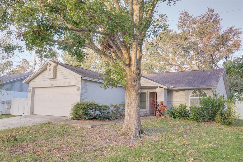 3670 CHATHAM DRIVE PALM HARBOR, FL 34684