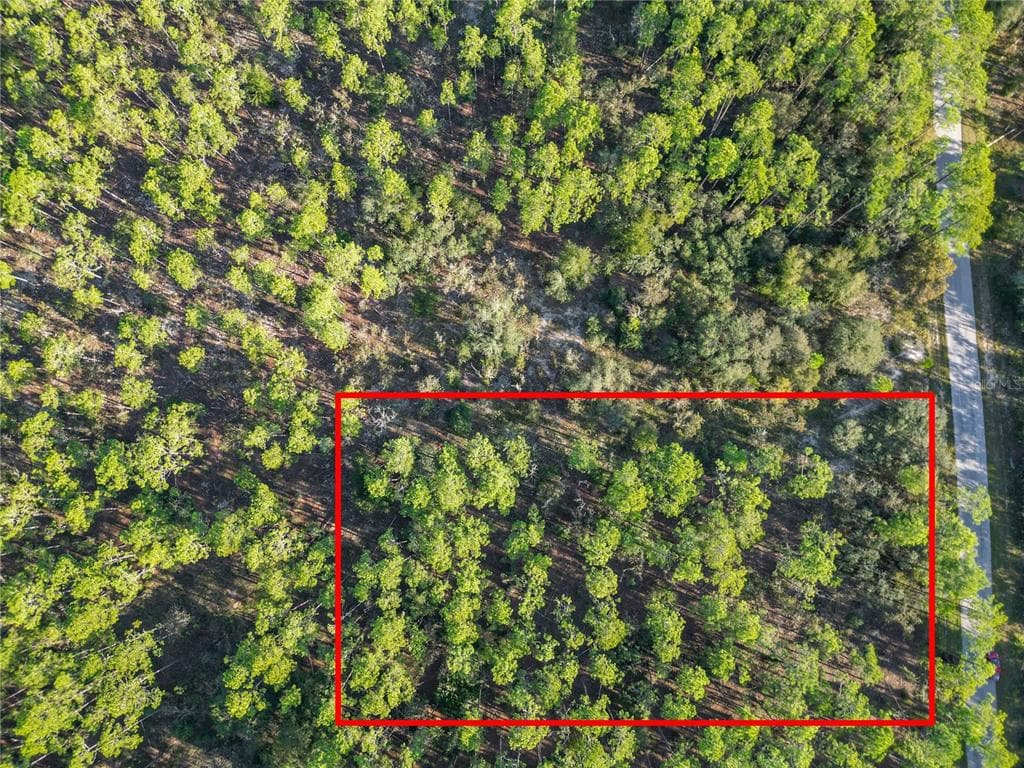 Lot 6 WISTERIA COURT DUNNELLON, FL 34431