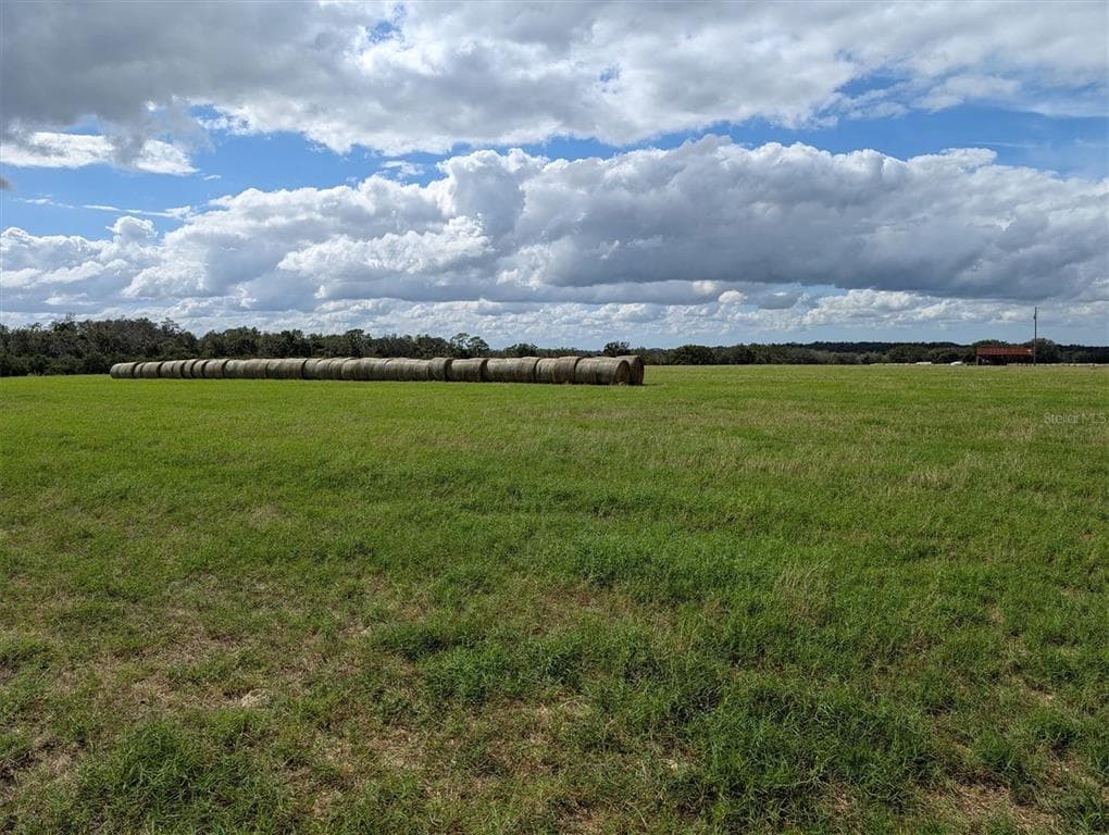 AMBERLEA ROAD DADE CITY, FL 33523