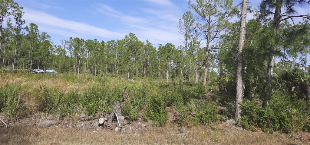 920 BELMONTE DRIVE INDIAN LAKE ESTATES, FL 33855
