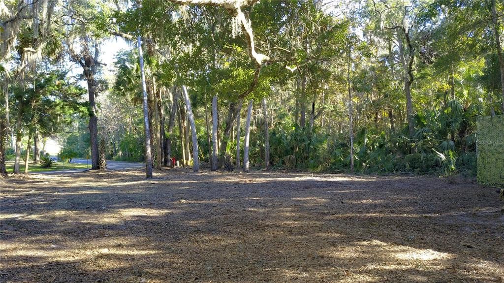 4367 S CONWELL POINT HOMOSASSA, FL 34448