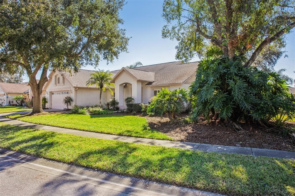 28424 OPENFIELD LOOP WESLEY CHAPEL, FL 33543