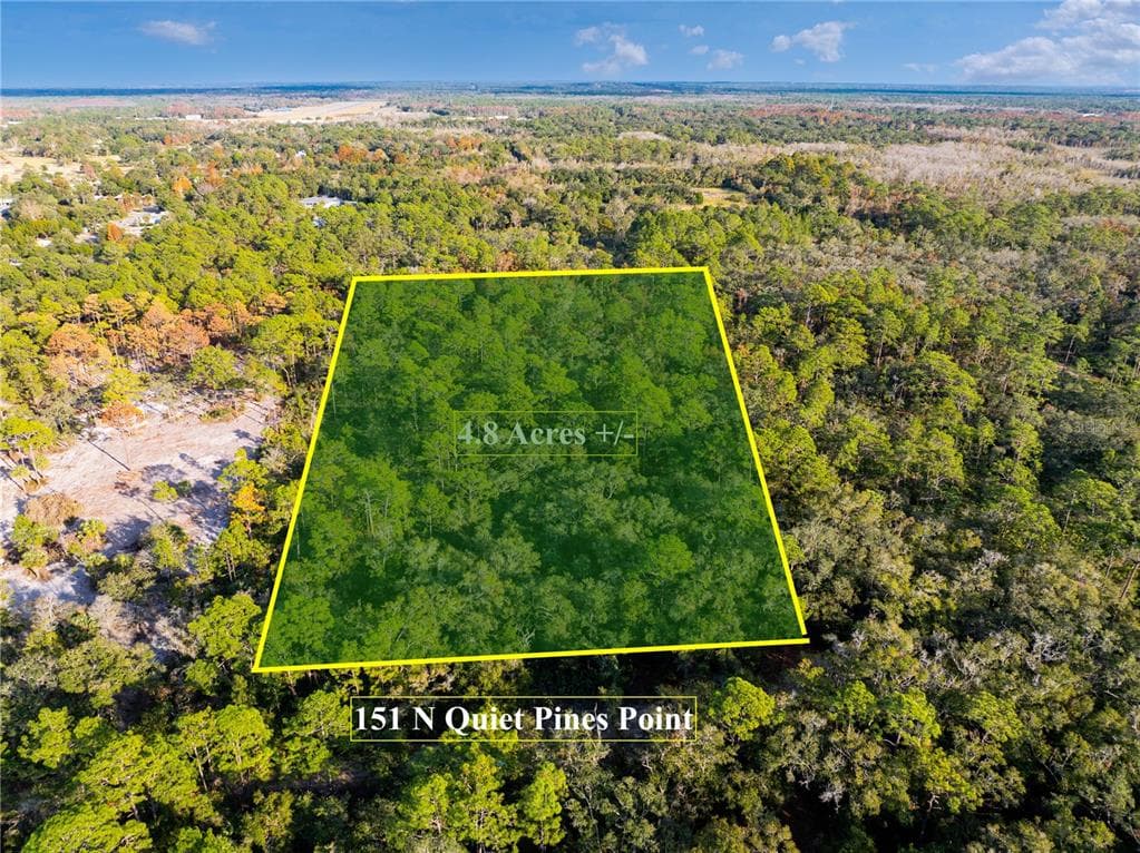 151 N QUIET PINES POINT CRYSTAL RIVER, FL 34429