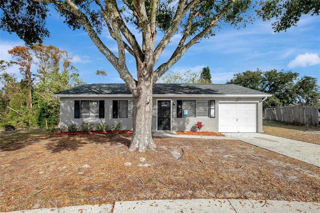 10337 WIDGEON WAY NEW PORT RICHEY, FL 34654