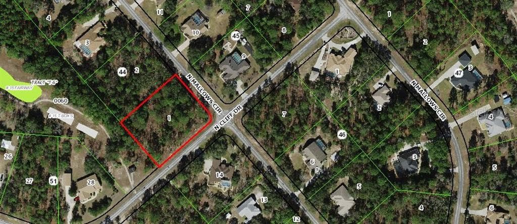 5589 N MALLOWS CIRCLE BEVERLY HILLS, FL 34465