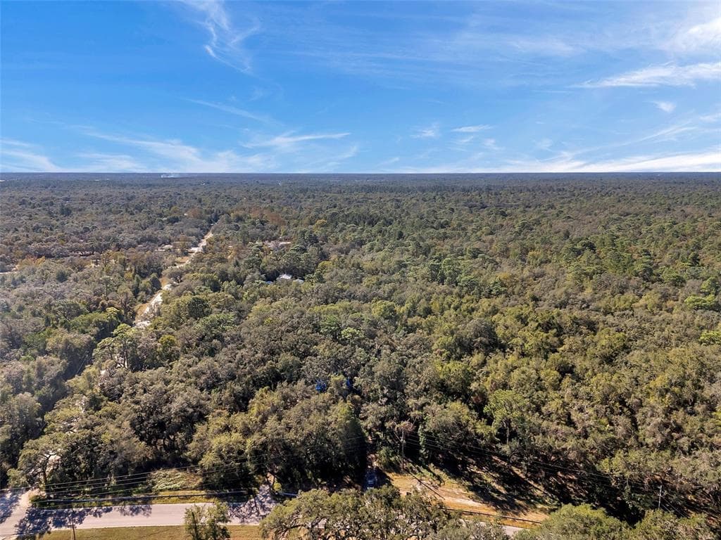 13996 PEACE BOULEVARD SPRING HILL, FL 34610