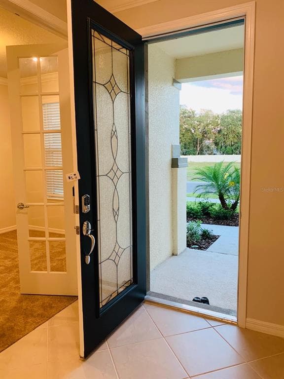 10738 GREEN HARVEST DRIVE RIVERVIEW, FL 33578