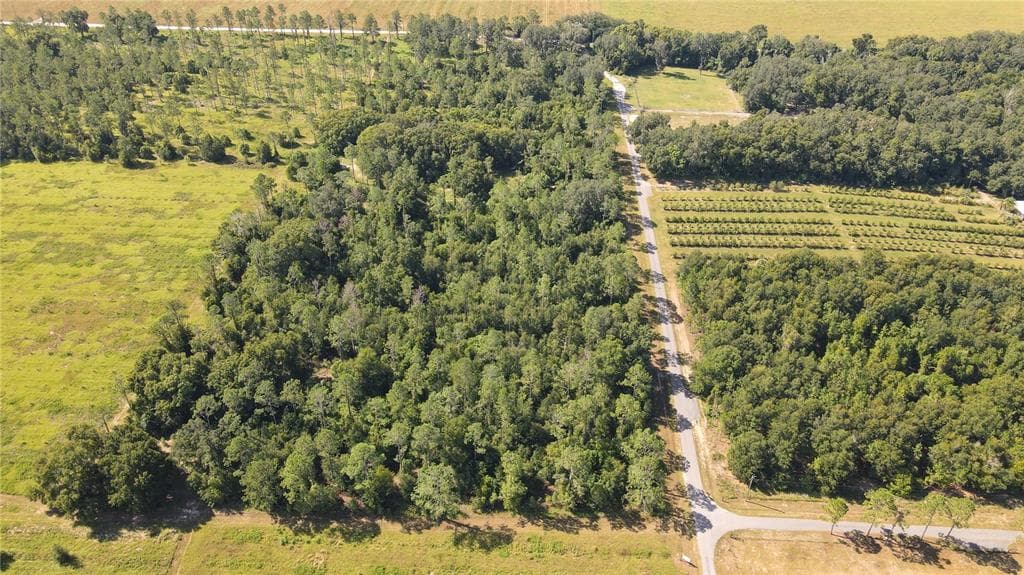 AMBERLEA ROAD DADE CITY, FL 33523