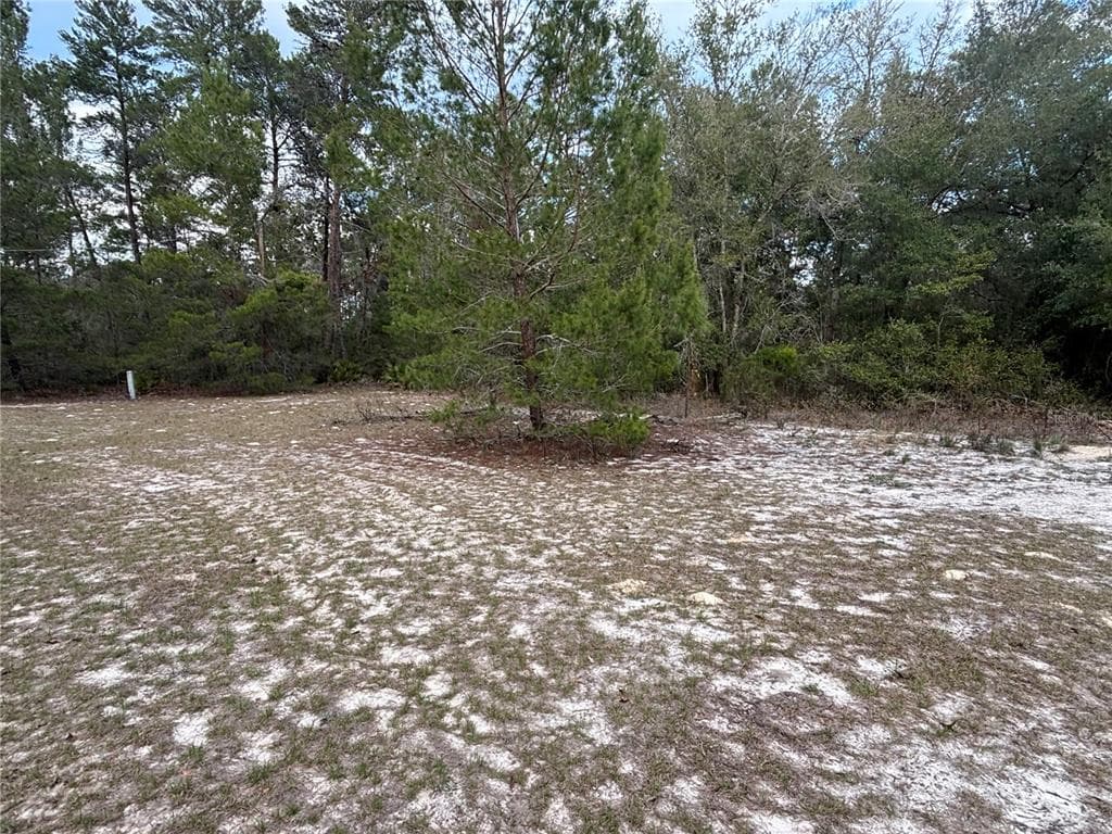 101 QUAIL ACRE ROAD POMONA PARK, FL 32181