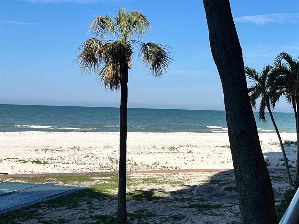 880 MANDALAY AVENUE UNIT N105 CLEARWATER BEACH, FL 33767