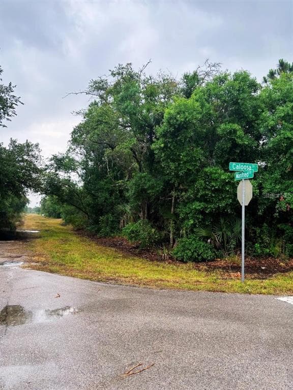 13142 CALOOSA DRIVE PUNTA GORDA, FL 33955