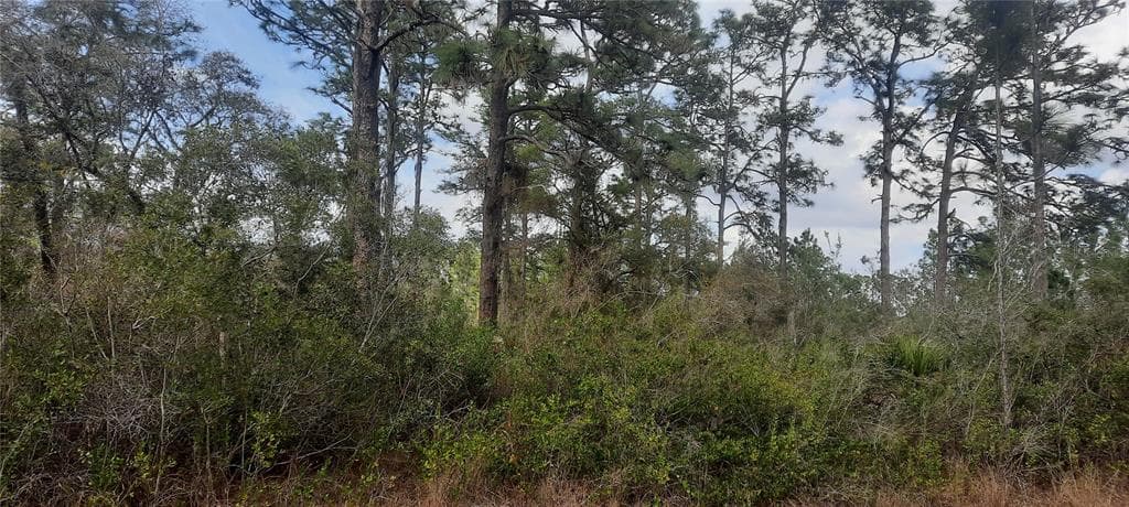 515 EL DORADO DRIVE INDIAN LAKE ESTATES, FL 33855