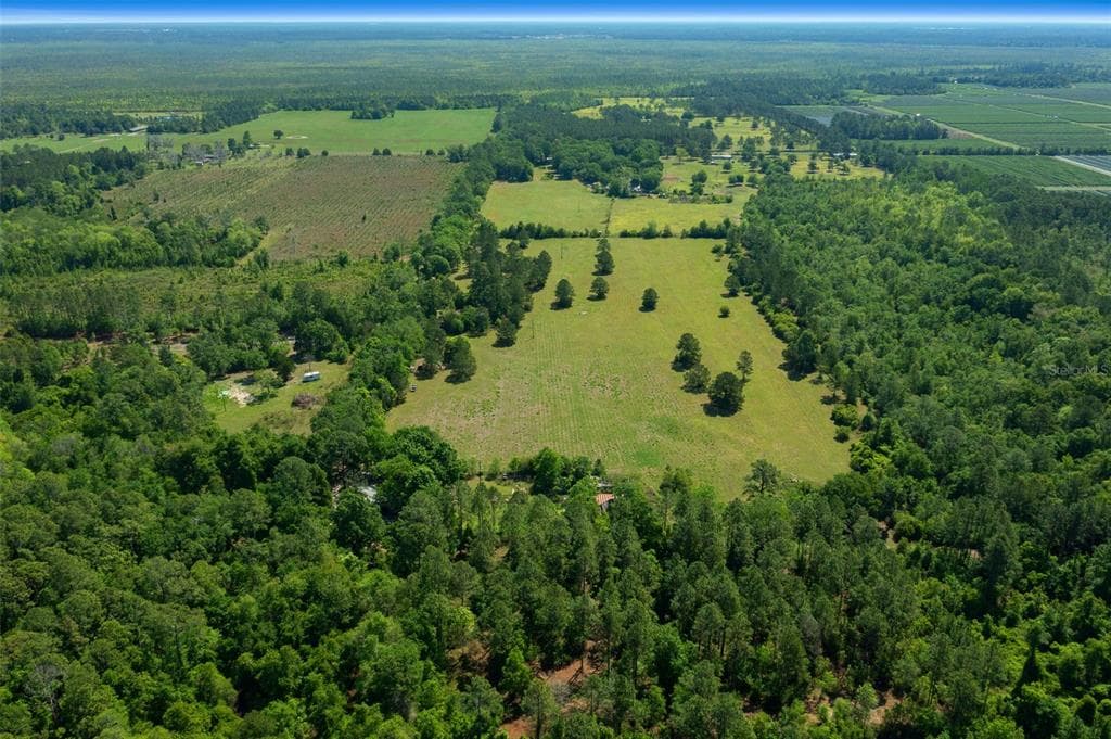 16324 NE COUNTY ROAD 1471 WALDO, FL 32694