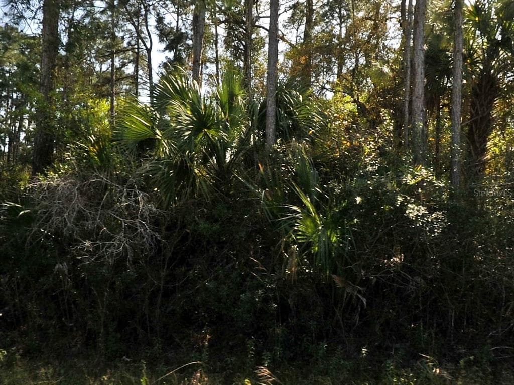 ELDRON AVENUE NORTH PORT, FL 34286