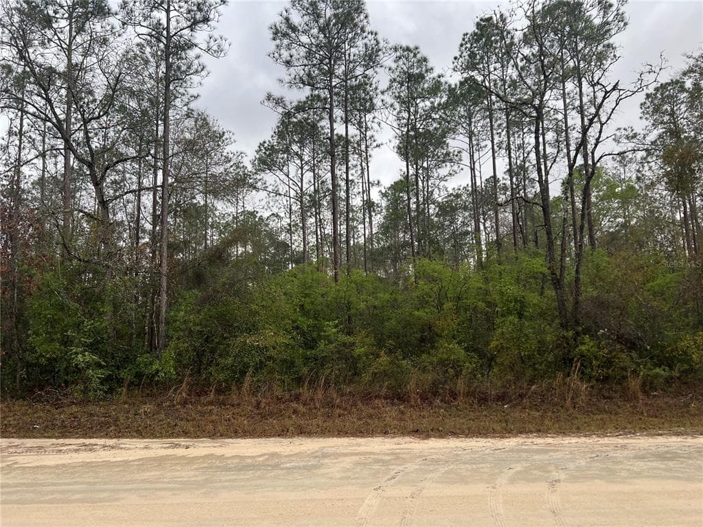 1605 NE 899TH STREET OLD TOWN, FL 32680