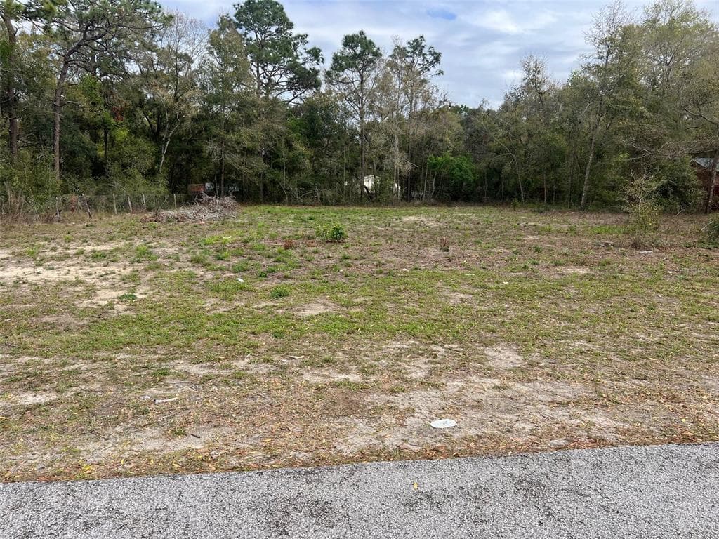SIMMONS STREET BROOKSVILLE, FL 34613