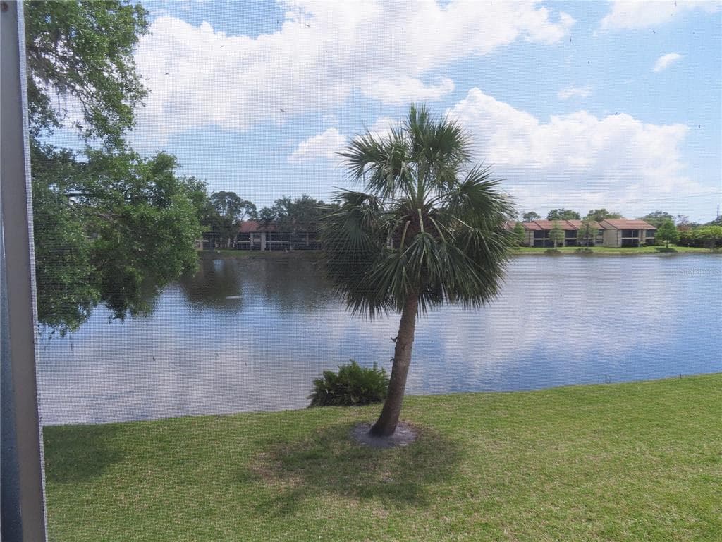 224 CYPRESS LANE UNIT 224 OLDSMAR, FL 34677