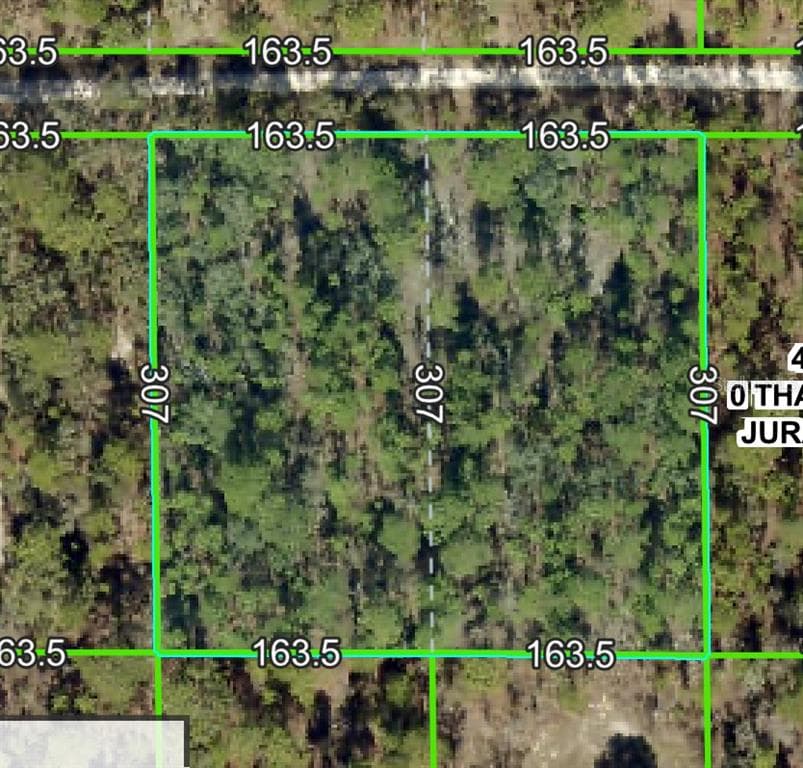 11418 THAMES AVENUE WEEKI WACHEE, FL 34614