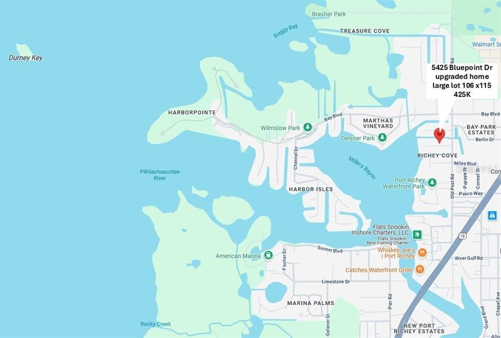 5425 BLUEPOINT DRIVE PORT RICHEY, FL 34668