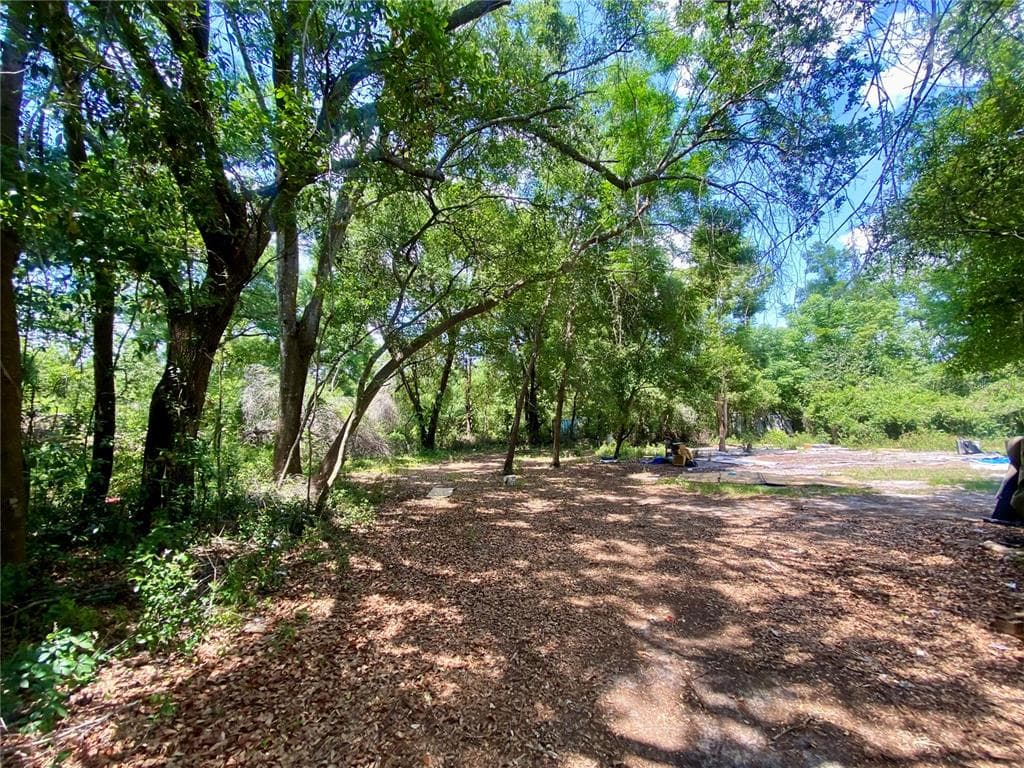 910 S LAKE PLEASANT ROAD APOPKA, FL 32703