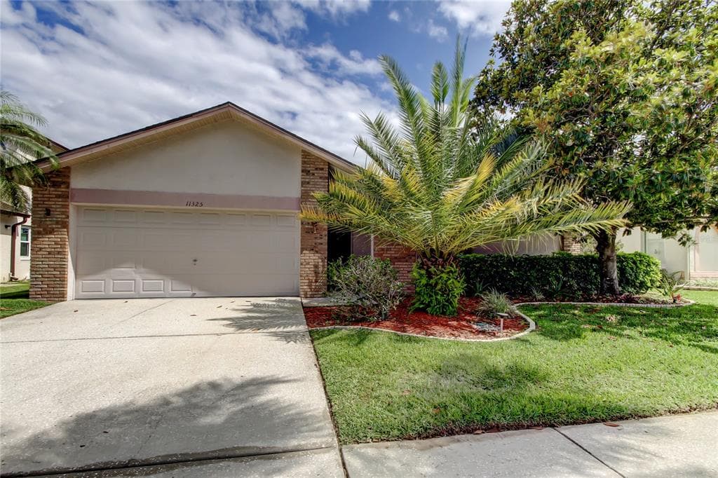 11325 GLENMONT DRIVE TAMPA, FL 33635