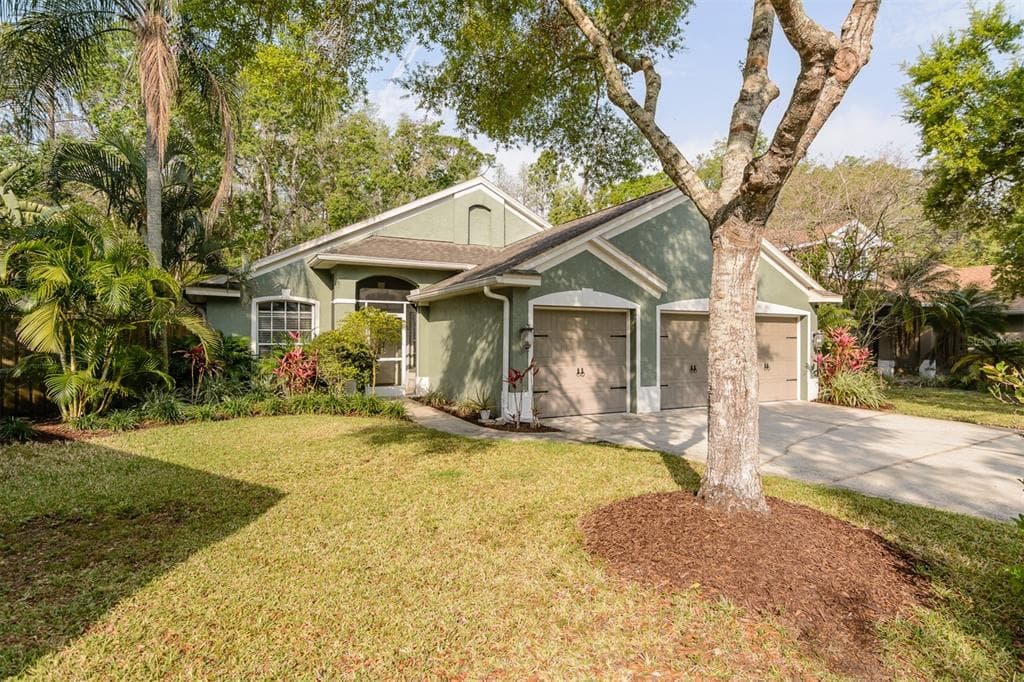 5619 ESSEX COURT PALM HARBOR, FL 34685
